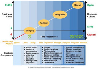 Social Media Strategy Learning Curve and Framework