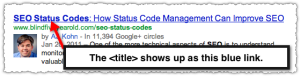 title-tag-google-serp-example