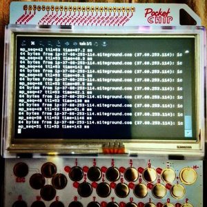 Linux ping command on the PocketCHIMP