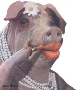 lipstick on a pig online reputation management